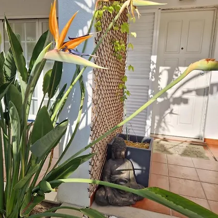 Armanbel * ססימברה