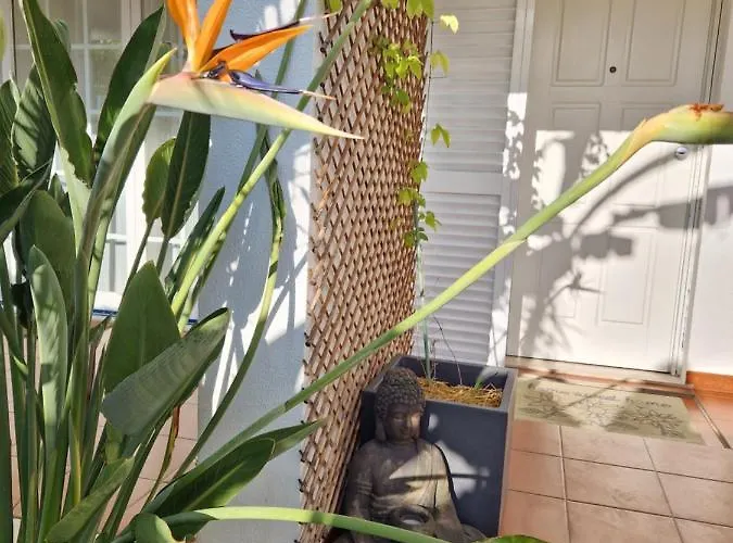 Armanbel * سيسيمبرا